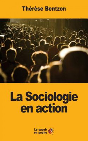 Kniha La Sociologie en action Therese Bentzon