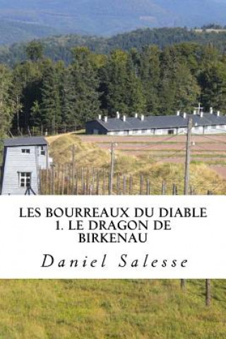 Kniha Les bourreaux du Diable: 1- Le Dragon de Birkenau Daniel Salesse
