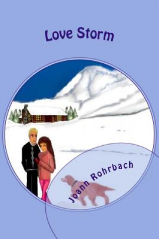 Libro Love Storm Joann Rohrbach