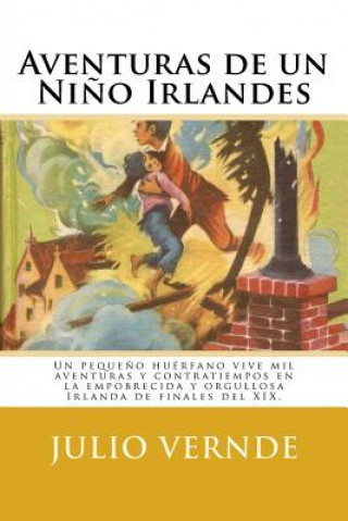 Kniha Aventuras de un Ni?o Irlandes (Spanish) Edition Julio Vernde