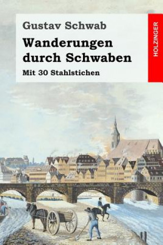 Kniha Wanderungen durch Schwaben: Mit 30 Stahlstichen Gustav Schwab