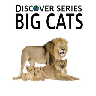 Libro Big Cats: Discover Series Picture Book for Children Xist Publishing