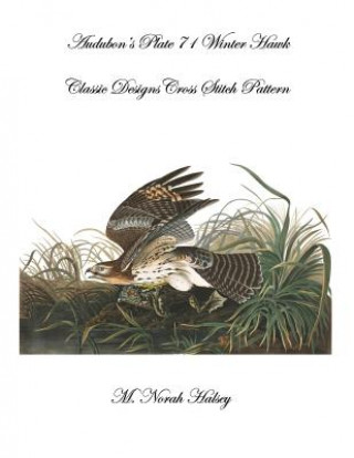 Kniha Audubon's Plate 71 Winter Hawk: Classic Designs Cross Stitch Pattern M Norah Halsey