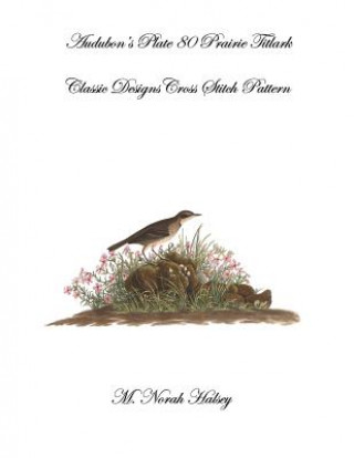 Libro Audubon's Plate 80 Prairie Titlark: Classic Designs Cross Stitch Pattern M Norah Halsey