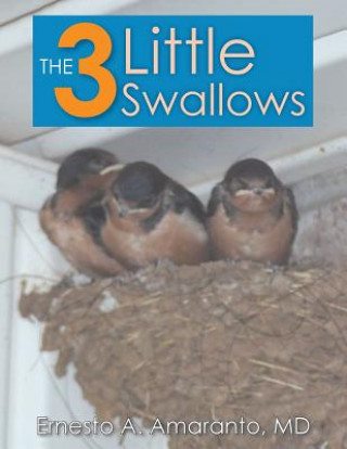 Kniha 3 Little Swallows Ernesto Amaranto