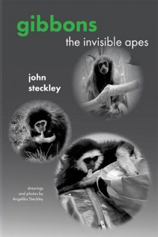 Kniha Gibbons: The Invisible Apes John Steckley