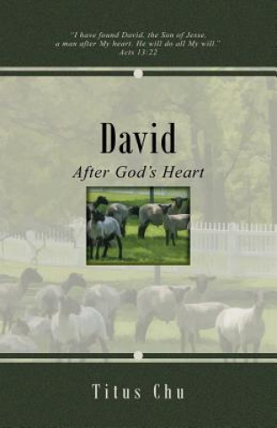 Kniha David: After God's Heart Titus Chu