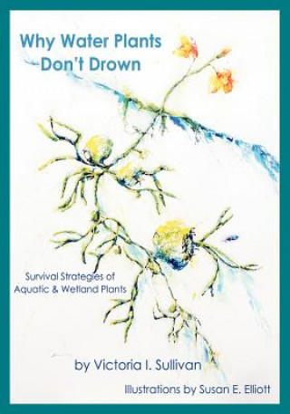 Kniha Why Water Plants Don't Drown: Survival Strategies of Aquatic and Wetland Plants Victoria I Sullivan