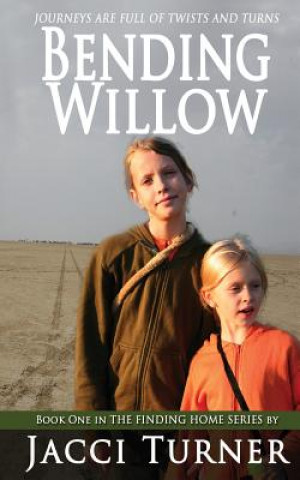 Kniha Bending Willow Jacci Turner