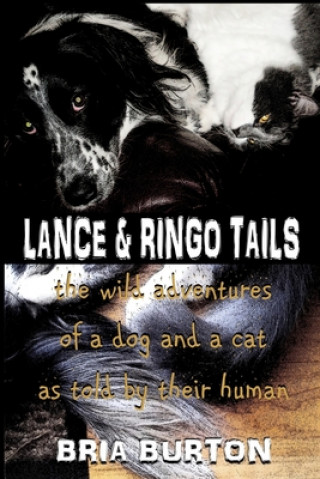 Kniha Lance & Ringo Tails: The wild adventures of a dog and a cat as told by their human Bria Burton