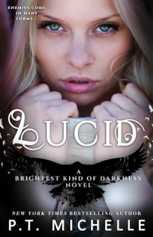 Carte Lucid (Brightest Kind of Darkness, Book 2) P T Michelle