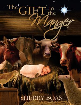 Kniha The Gift in the Manger Sherry Boas