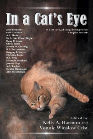 Kniha In a Cat's Eye Gail Z Martin