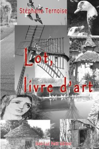 Könyv Lot, livre d'art Stephane Ternoise