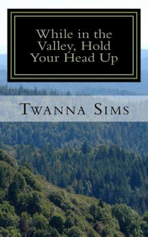 Book While in the Valley, Hold Your Head Up: Don't Let the Issues of Life Pull You Down Twanna R Sims