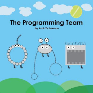 Knjiga The Programming Team Amir Zicherman