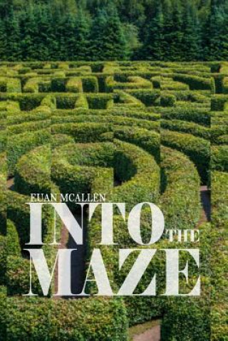 Buch Into the Maze Euan McAllen