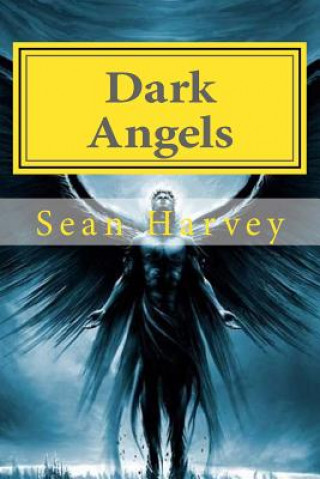 Kniha Dark Angels Sean Michael Joseph Harvey