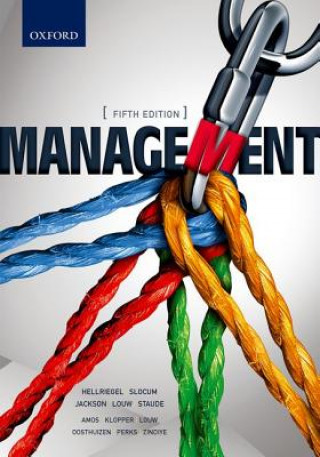 Libro Management Mattheus Louw