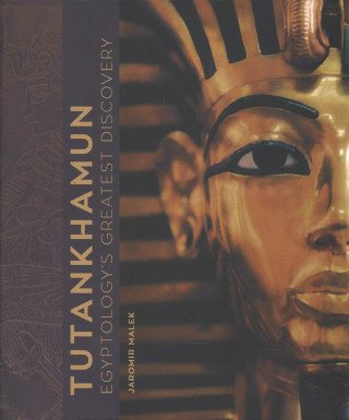 Buch Tutankhamun Jaromir Malek