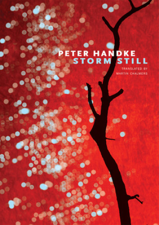 Książka Storm Still Peter Handke