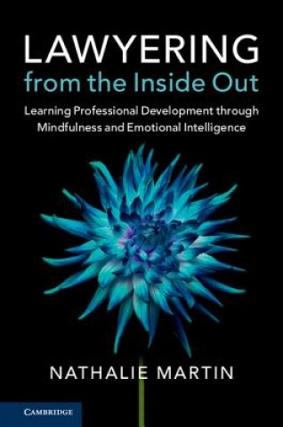 Buch Lawyering from the Inside Out MARTIN  NATHALIE