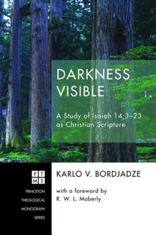 Livro Darkness Visible KARLO V. BORDJADZE