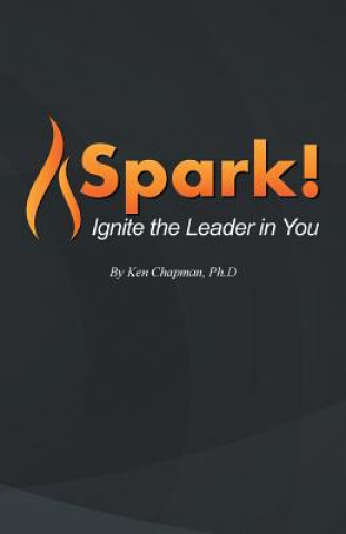 Carte Spark! PH.D KEN CHAPMAN