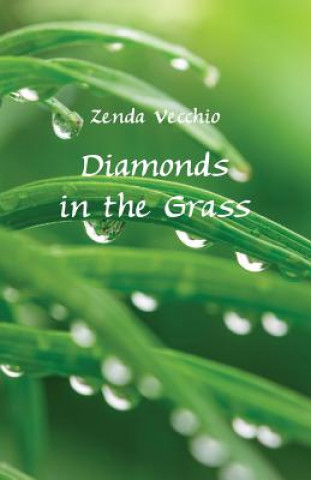 Kniha Diamonds in the Grass Zenda Vecchio