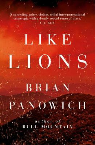 Kniha Like Lions Brian Panowich