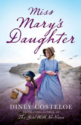 Kniha Miss Mary's Daughter Diney Costeloe