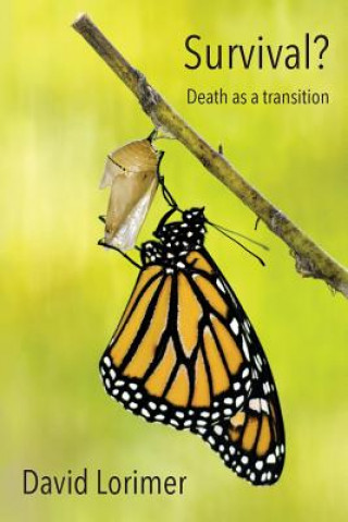 Könyv Survival? Death as a Transition DAVID LORIMER