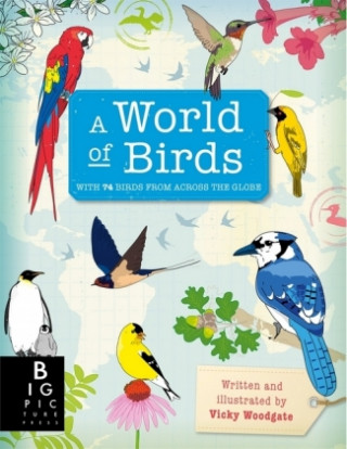 Könyv World of Birds Vicky Woodgate