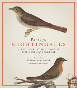 Książka Pasta For Nightingales Helen Macdonald