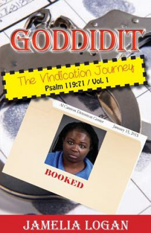 Könyv Goddidit the Vindication Journey JAMELIA LOGAN