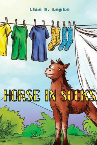 Kniha Horse in Socks LISA LAPKA