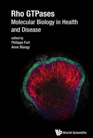 Könyv Rho Gtpases: Molecular Biology In Health And Disease Anne Blangy