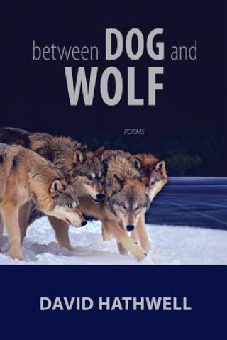Kniha Between Dog and Wolf David Hathwell