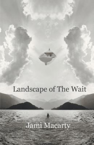 Knjiga Landscape of the Wait Jami Macarty