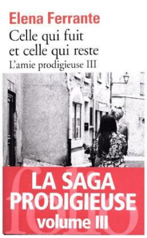 Knjiga Celle qui fuit et celle qui reste (L'amie prodigieuse 3) Elena Ferrante