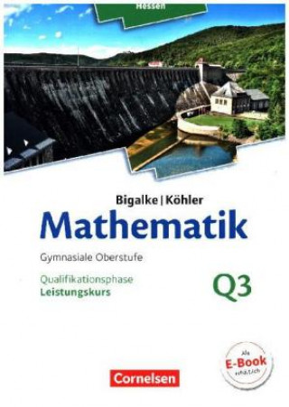 Kniha Bigalke/Köhler: Mathematik - Hessen - Ausgabe 2016 - Leistungskurs 3. Halbjahr Anton Bigalke