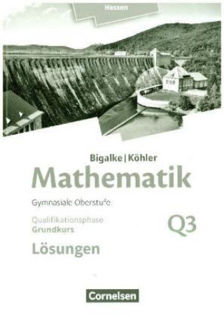 Kniha Bigalke/Köhler: Mathematik - Hessen - Ausgabe 2016 - Grundkurs 3. Halbjahr Anton Bigalke