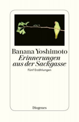 Könyv Erinnerungen aus der Sackgasse Banana Yoshimoto