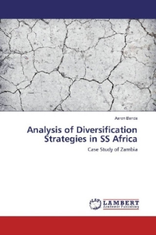 Könyv Analysis of Diversification Strategies in SS Africa Aaron Banda