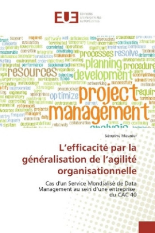 Kniha L'efficacité par la généralisation de l'agilité organisationnelle Séverine Meunier
