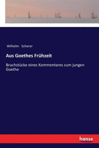 Kniha Aus Goethes Fruhzeit Wilhelm Scherer