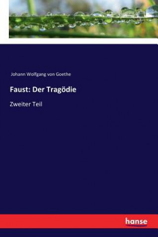 Knjiga Faust Johann Wolfgang Von Goethe