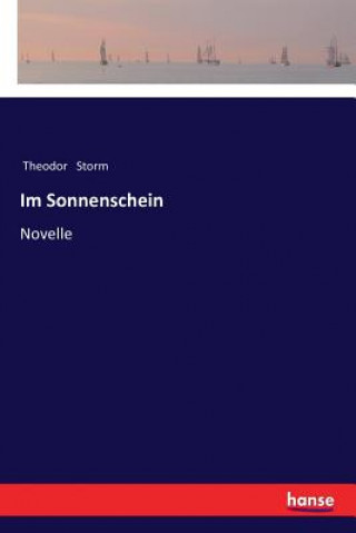 Könyv Im Sonnenschein Theodor Storm
