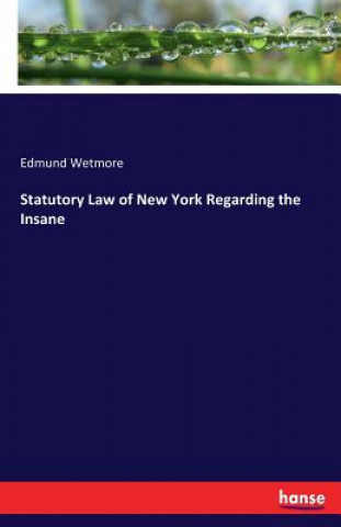 Livre Statutory Law of New York Regarding the Insane Edmund Wetmore