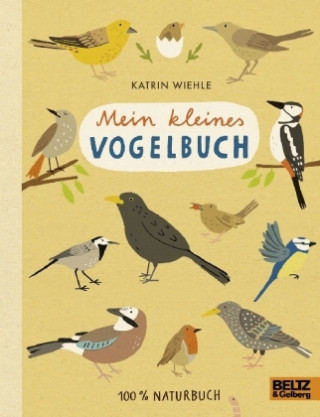 Carte Mein kleines Vogelbuch Katrin Wiehle